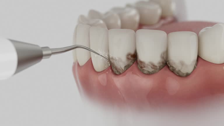 Reliable Dental contractor in Middlesborough, KY by Dentist Open Now